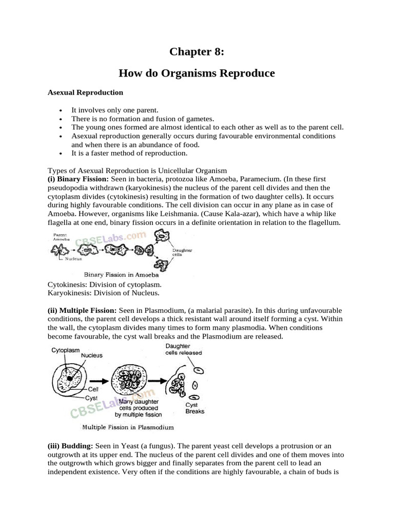 Asexual and Sexual Reproduction Explained | PDF | Flowers | Sexual ...