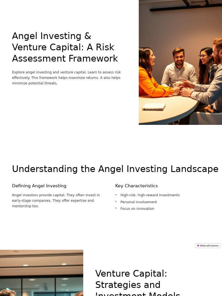 Angel Investing Risk Assessment Guide | PDF