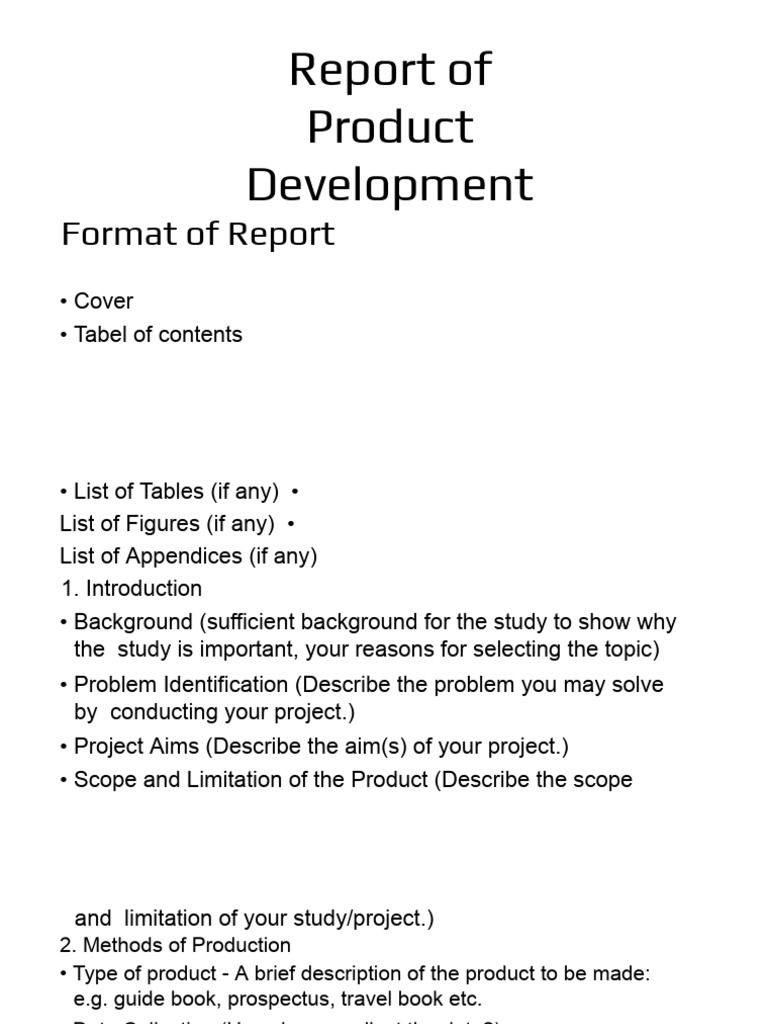 Product Development Report Structure | PDF