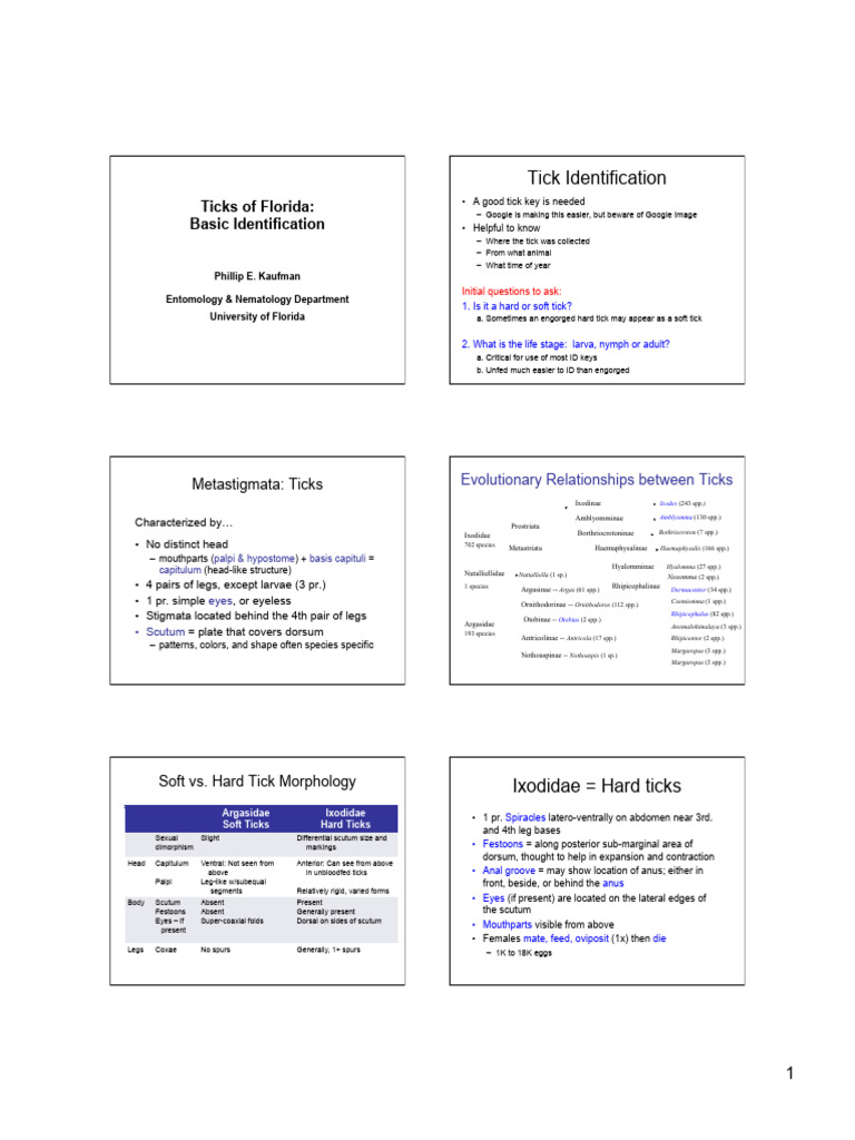 Tick - ID 2013 - Color - Reduced | PDF | Zoology