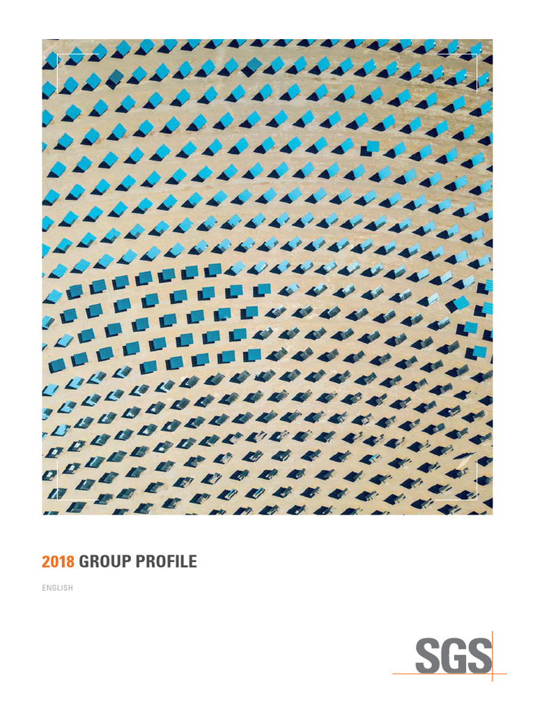 SGS Core Values and Vision | PDF | Regulatory Compliance | Safety