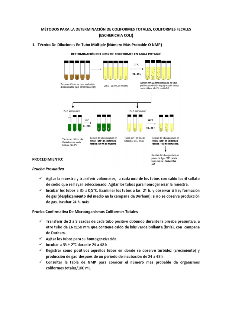 Determinacion De Bacterias Coliformes: Colimetria – QEFA