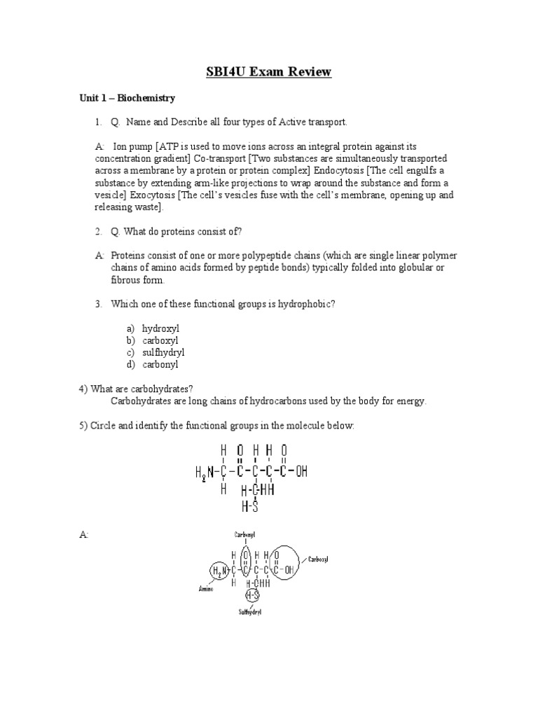 Unit 1 SBI4U Exam Review June 2011 Chemical Polarity Enzyme Inhibitor