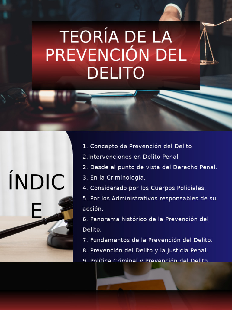 Teoría y Estrategias de Prevención del Delito | PDF | Prevención del ...