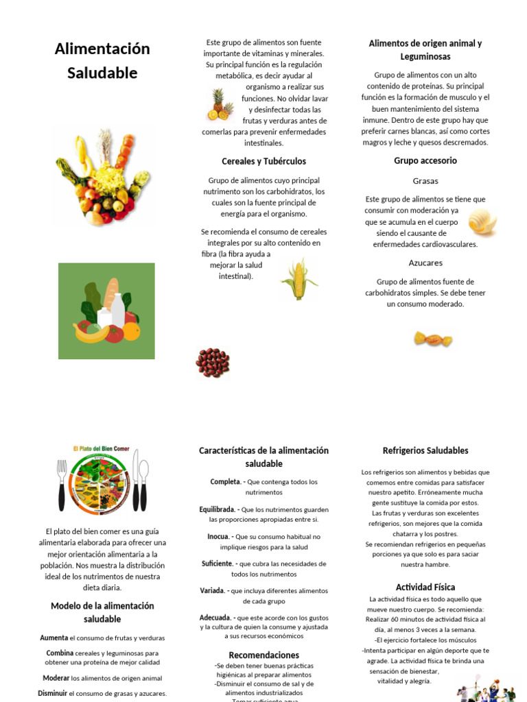 Guía de Alimentación Saludable y Activa | PDF | Alimentos | Nutrientes
