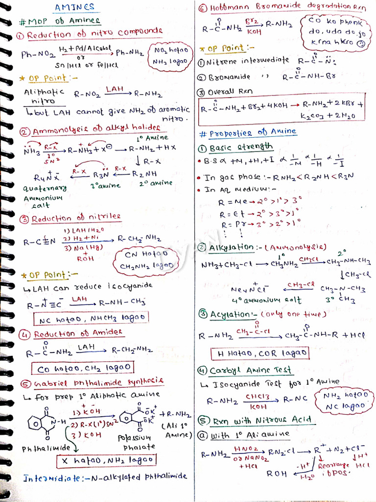 Printable Amines Short Notes | PDF