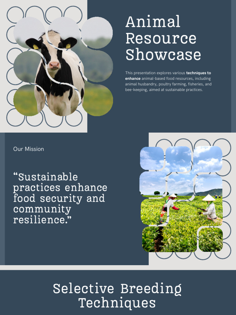 Presentation - Animal Resource Showcase | PDF | Beekeeping | Natural ...