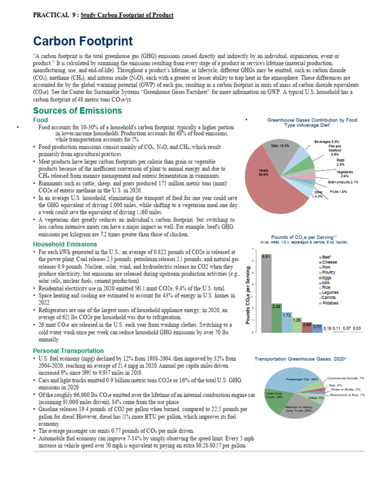 EGE-28042 Practical No. 09 | PDF | Greenhouse Gas | Carbon Footprint