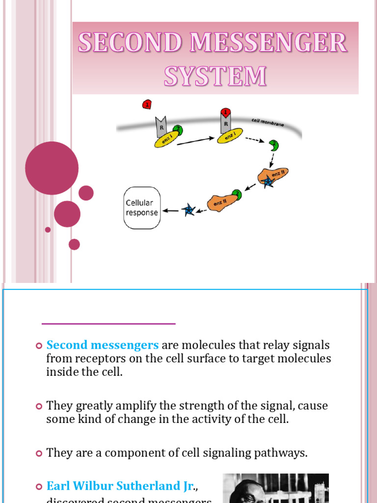Understanding Second Messenger Systems | PDF | Kinase | Cell Signaling