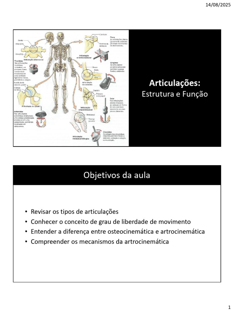 Aula4 Articulações | PDF | Movimentos anatômicos | Cotovelo