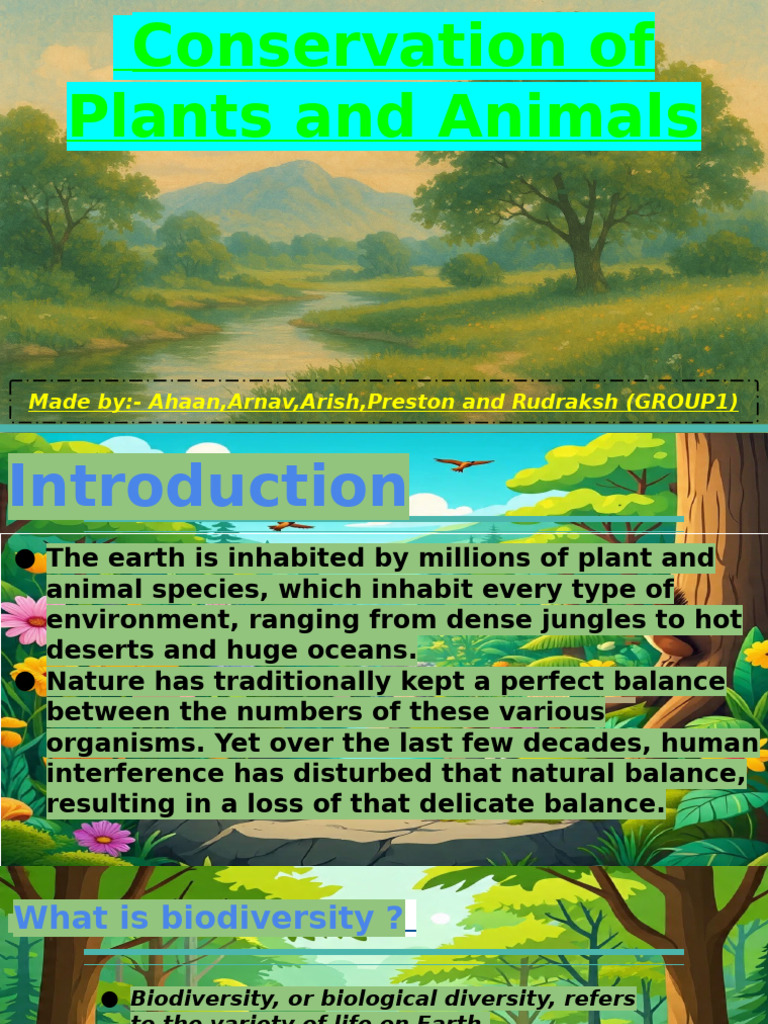 Chemistry Project Group 1 | PDF
