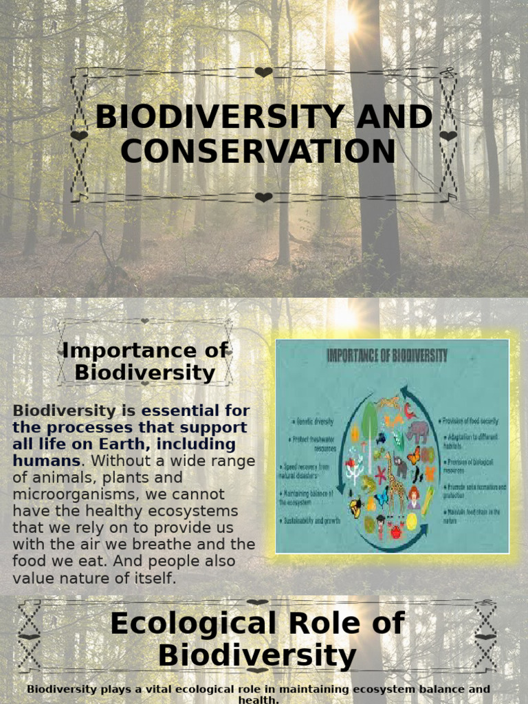 Biodiversity and Conservation (2) - 1 | PDF | Biodiversity | Ecosystem