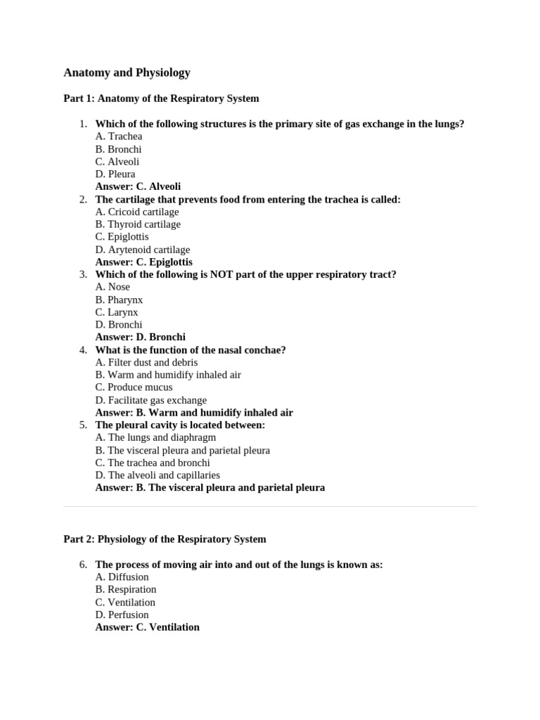 Respiratory and Digestive System Overview | PDF | Breathing ...