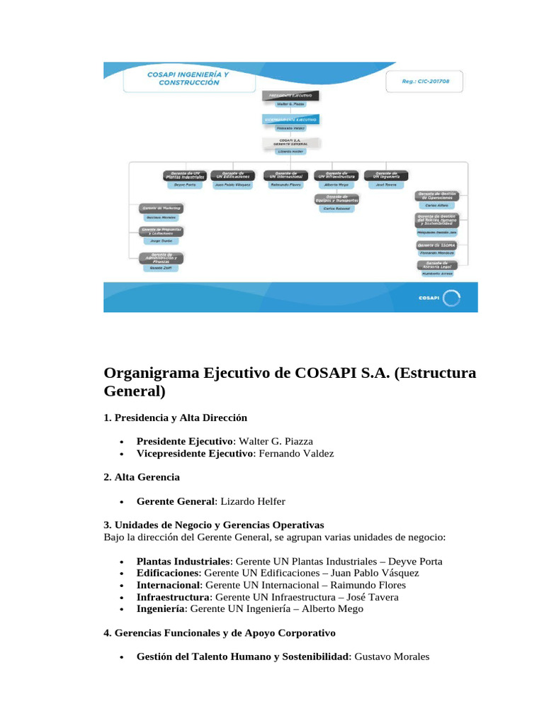 Organigrama Ejecutivo de COSAPI S.A. | PDF | Gestión del talento ...