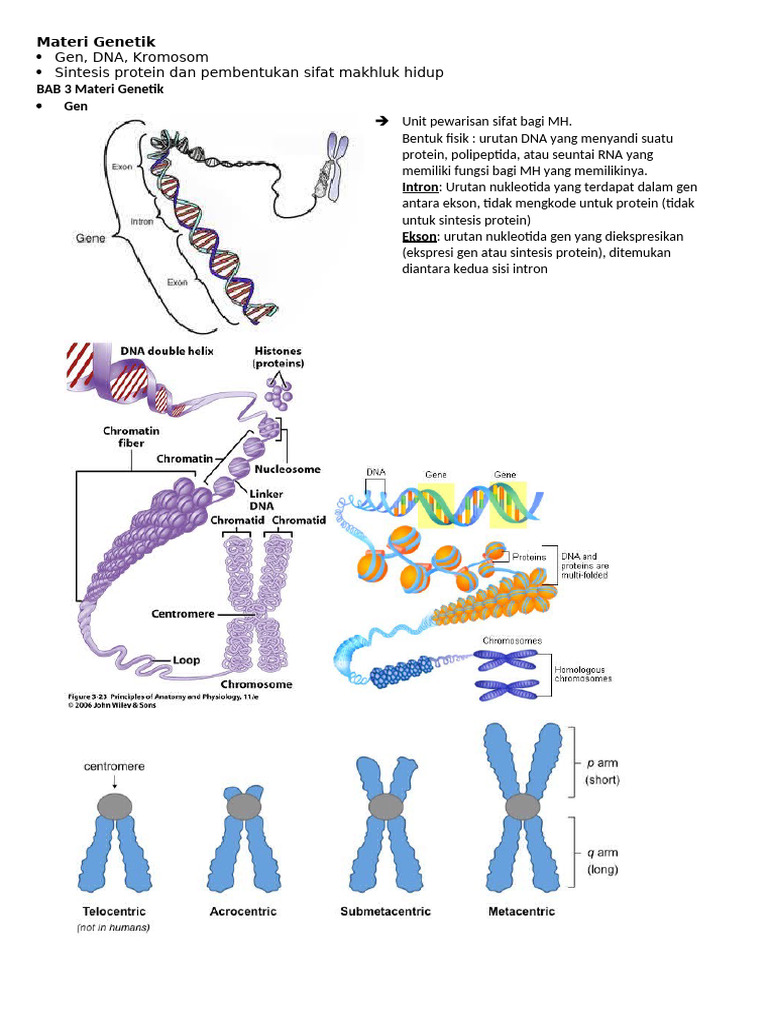 Materi Genetik: DNA, RNA, dan Pembelahan Sel | PDF