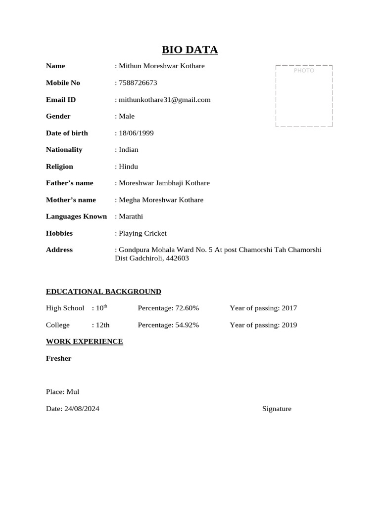 Mithun Kothare Bio Data Summary | PDF