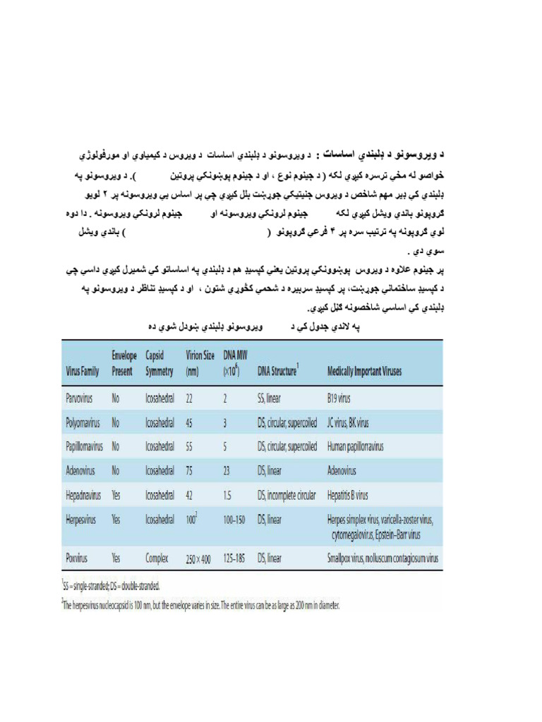 Classification of Viruses | PDF