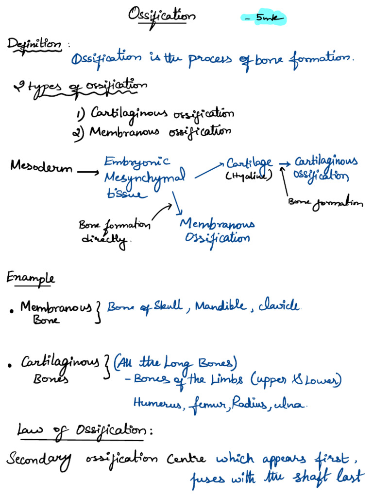 Types and Laws of Ossification | PDF | Bone | Tissue (Biology)