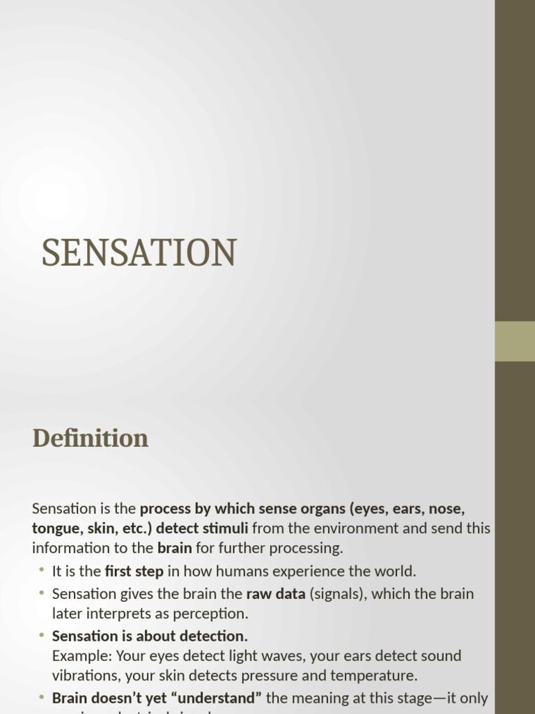 Chapter 2 Part 1 Sensation | PDF | Senses | Taste