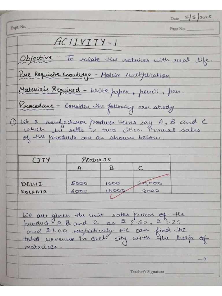 Maths Practical File | PDF