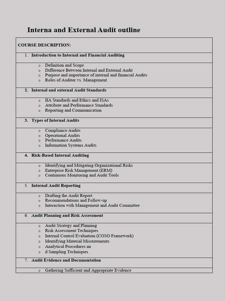 Internal and External Audit Overview | PDF