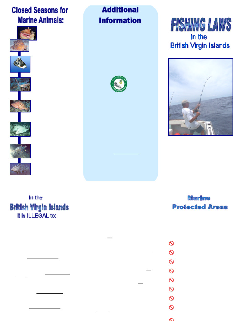 BVI Fishing Permit and Regulations Guide | PDF | Fish | Marine Biology