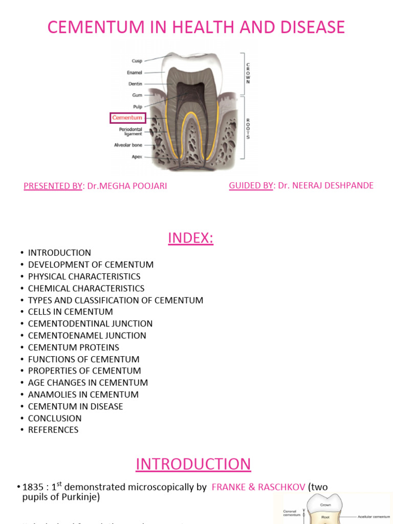 Cementum: Health and Disease Insights | PDF | Human Tooth | Dentistry ...