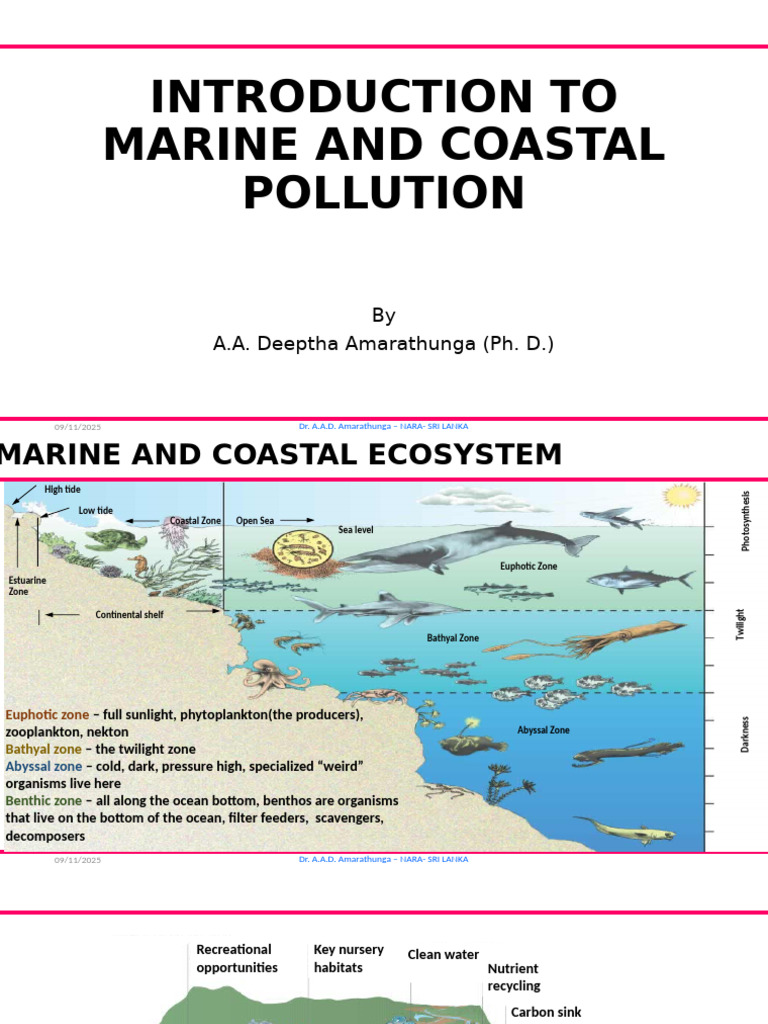 Marine and Coastal Pollution Overview | PDF | Water Pollution | Pollution