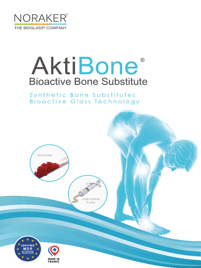 Bioactive Glass Bone Substitutes Overview | PDF | Bone | Bioceramic