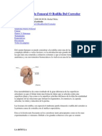 Síndrome Patelo Femoral O Rodilla Del Corredor