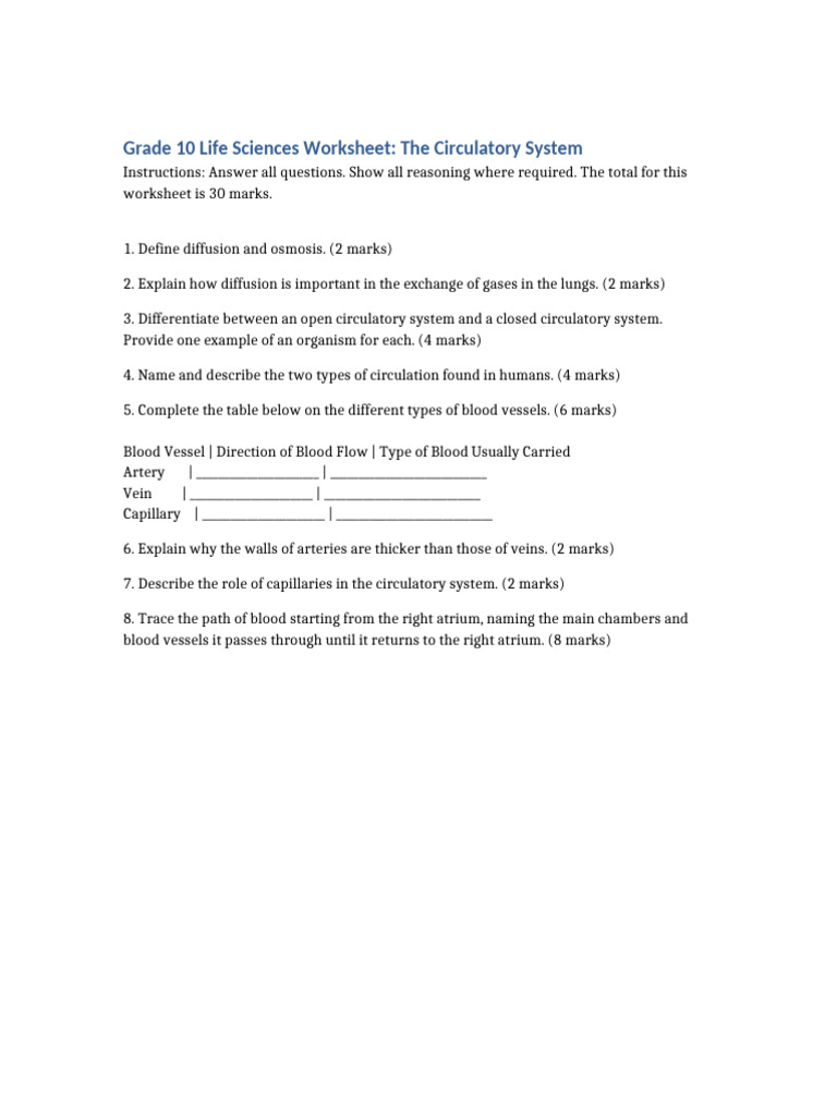 Grade 10 Circulatory System Worksheet | PDF | Circulatory System | Artery