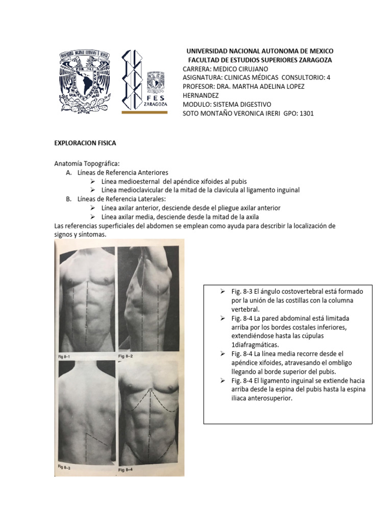 Exploración Física del Sistema Digestivo | PDF | Abdomen | Próstata