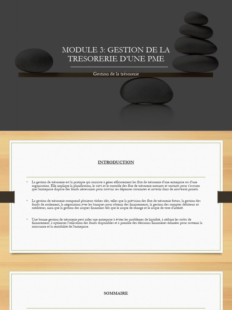 Gestion de trésorerie pour PME | PDF | Trésor | Budget