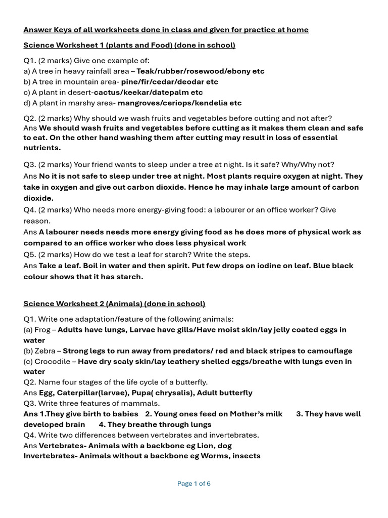 Comprehensive Science Worksheet Answers | PDF | Tooth | Foods