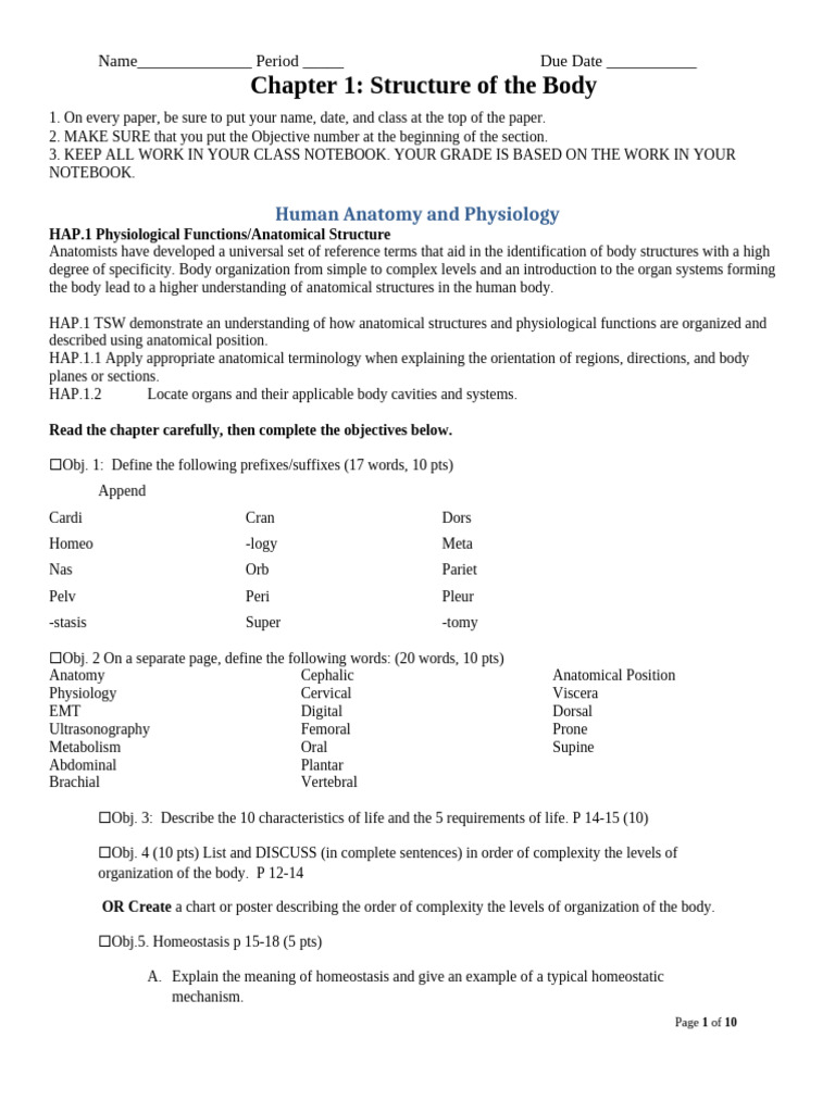 CH 1 Structure of The Body 2020 | PDF | Anatomical Terms Of Location ...