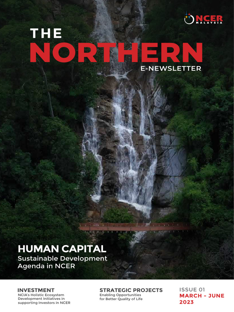 NCER Strategic Projects Overview | PDF | Economies
