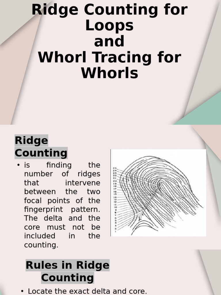 Ridge Counting and Whorl Tracing Rules | PDF