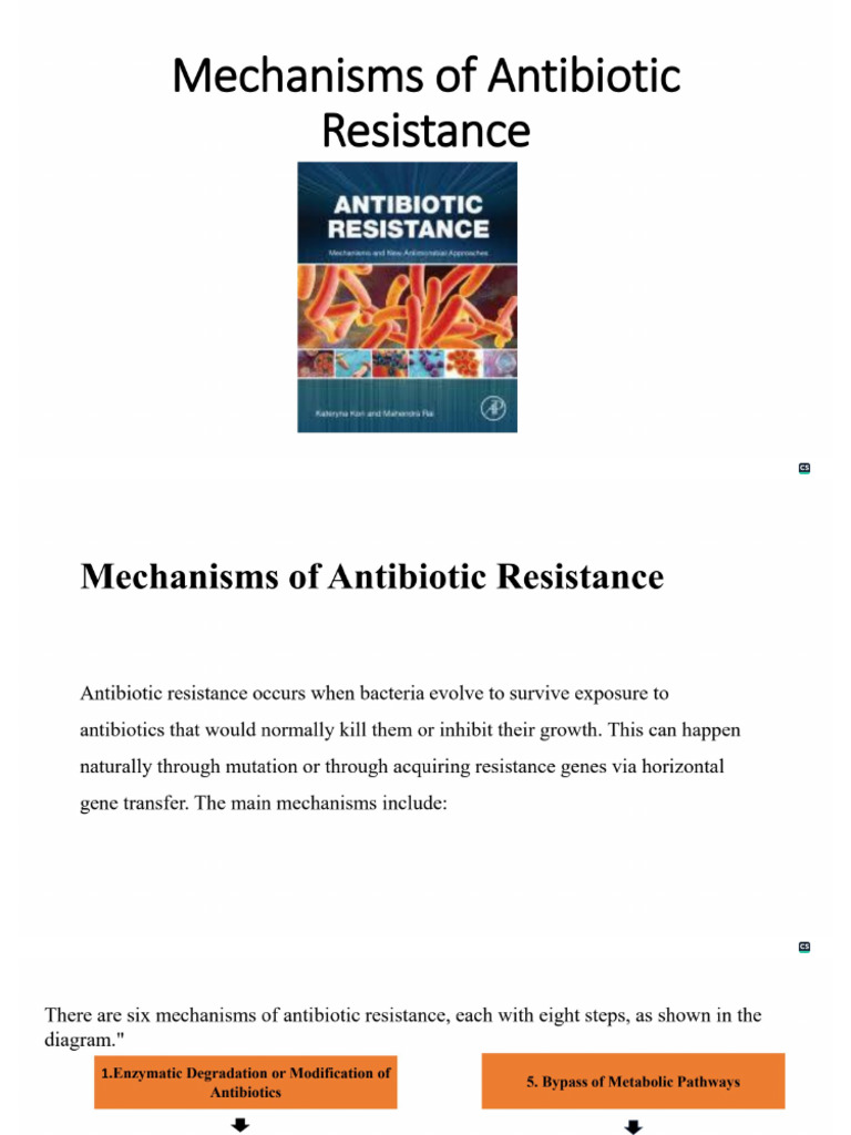 Mechanisms of Antibiotic Resistance | PDF