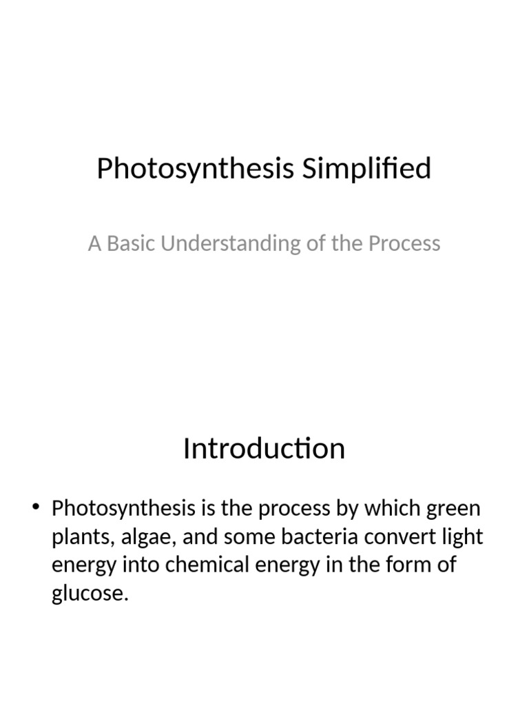 Understanding Photosynthesis Basics | PDF