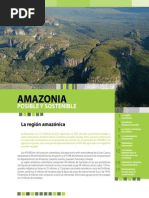 Download Folleto Amazonia Posible y Sostenible by Fondo Patrimonio Natural SN91557839 doc pdf
