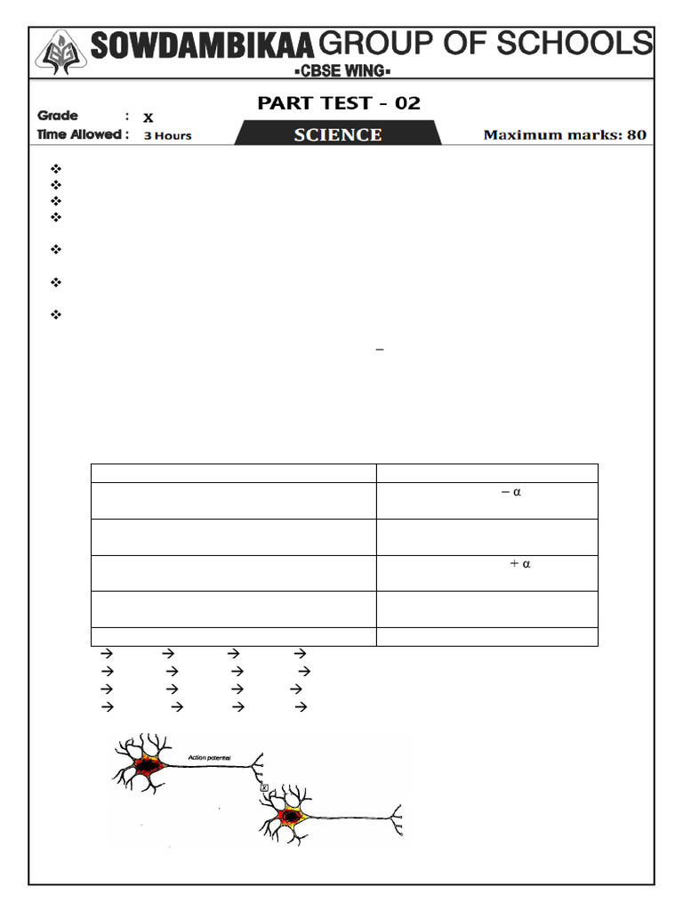 Comprehensive Science Question Paper | PDF | Mirror | Acid
