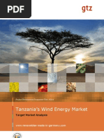 Gtz2010 en Target Market Analysis Wind Tanzania