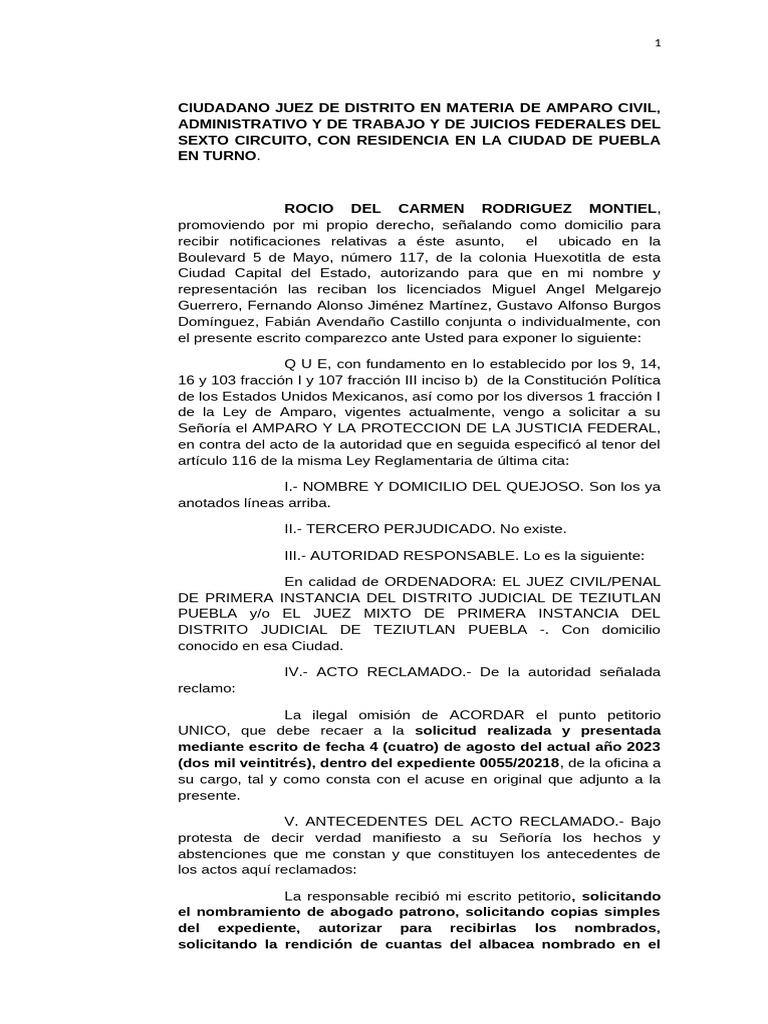 Solicitud de Amparo por Omisión Judicial | PDF | Caso de ley | Constitución