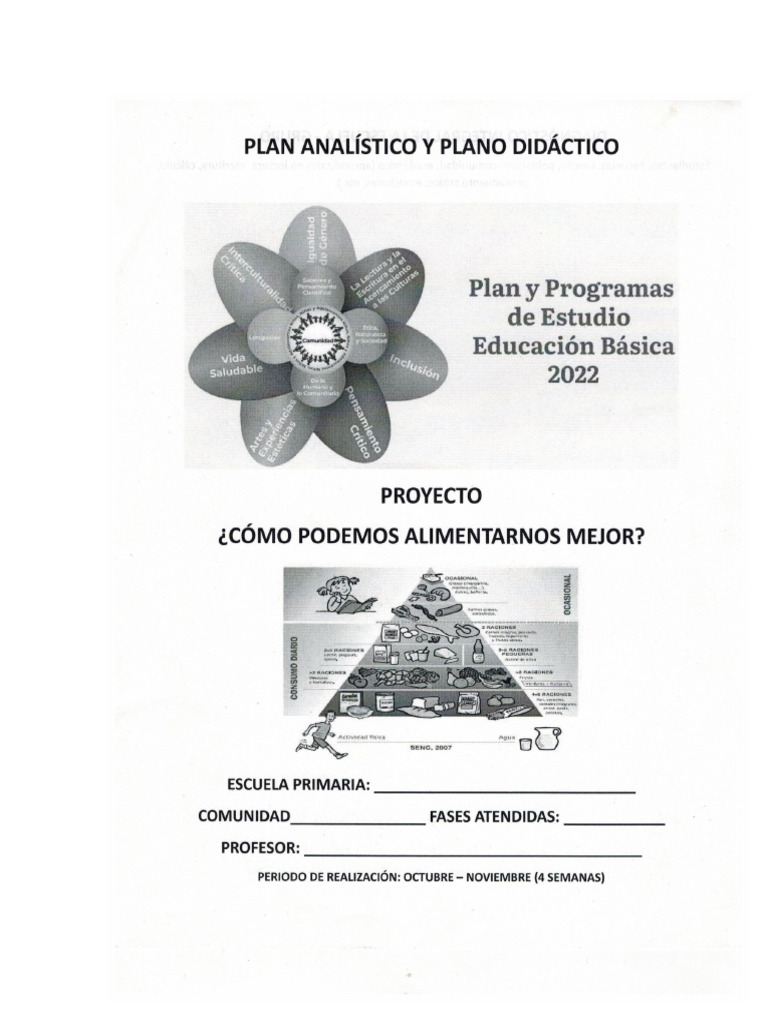 Plan Analitico y Plano Didactico | PDF