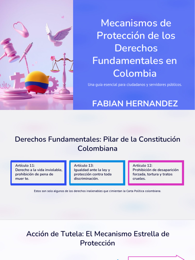 Mecanismos de Proteccion de Los Derechos Fundamentales en Colombia PDF ...