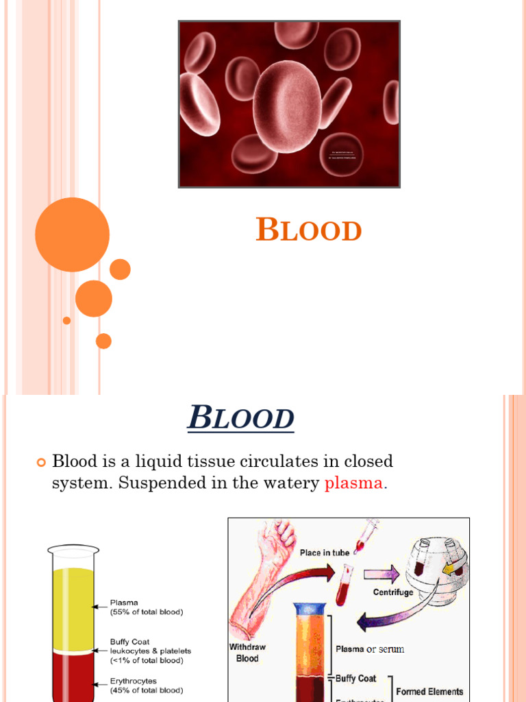 Blood Composition and Analysis Guide | PDF | Blood Plasma | Coagulation