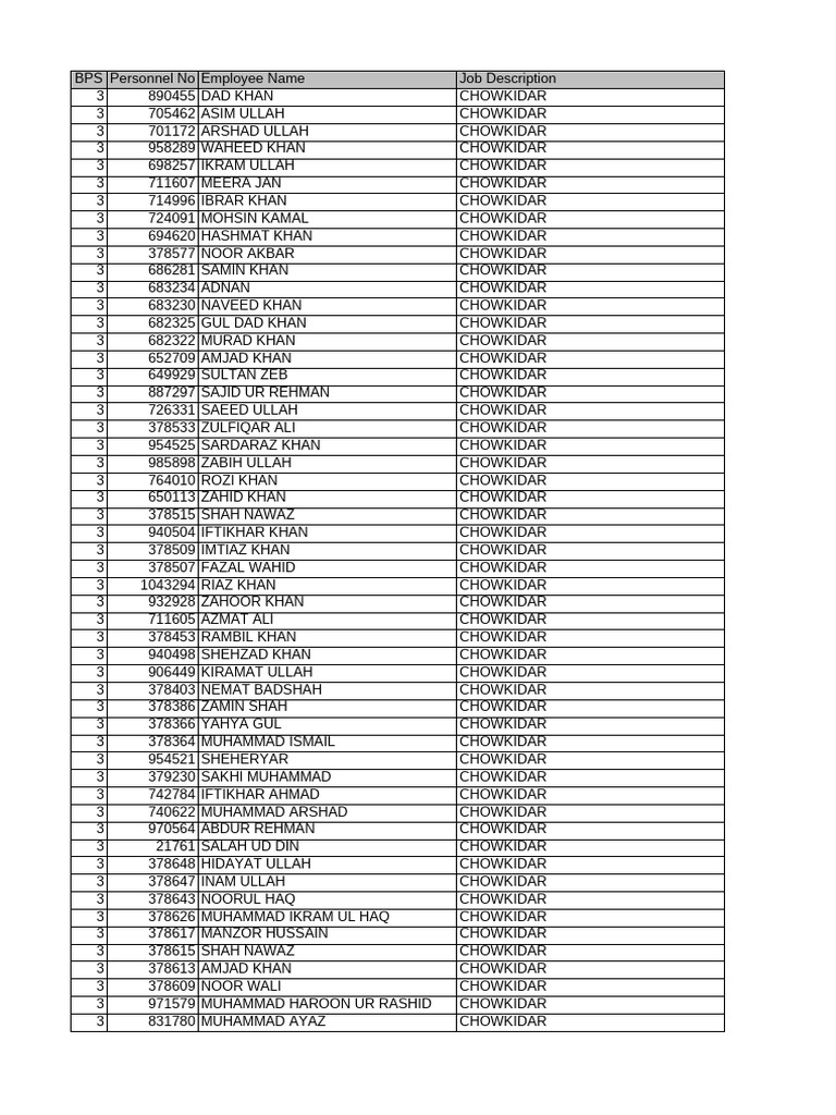 BPS Personnel Job Descriptions List | PDF