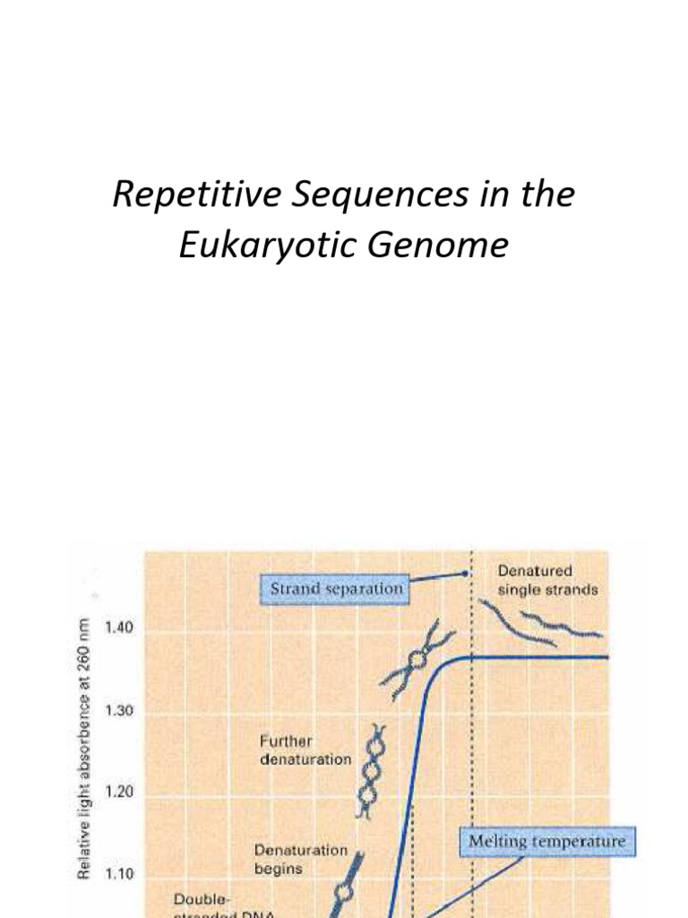 Eukaryotic Genome Repetitive Sequences Analysis | PDF | Genome | Gene