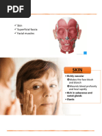 Anatomy and Structure of Lips | PDF | Lip | Human Anatomy