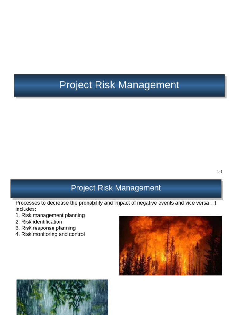 Effective Project Risk Management Strategies | PDF | Risk | Risk Management